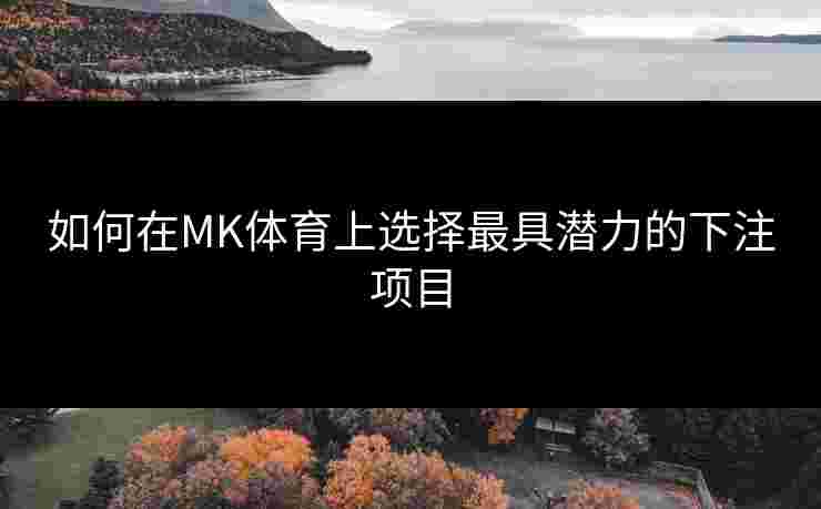 如何在MK体育上选择最具潜力的下注项目