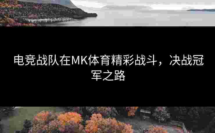 电竞战队在MK体育精彩战斗，决战冠军之路