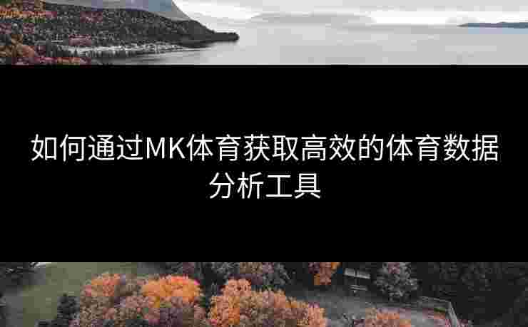 如何通过MK体育获取高效的体育数据分析工具