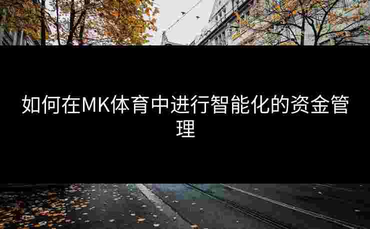 如何在MK体育中进行智能化的资金管理
